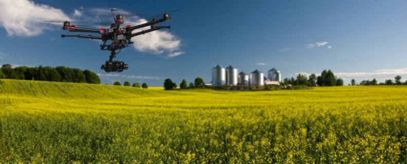 Ingleses estão a combater as alterações climáticas Ingleses estão a combater as alterações climáticas