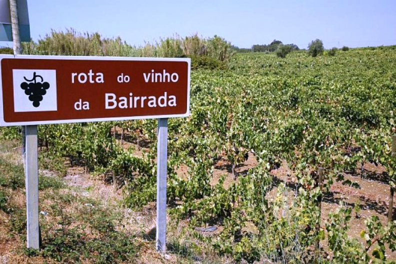 Regi&atilde;o demarcada da Bairrada celebrou o seu 40.&ordm; anivers&aacute;rio