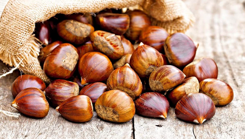 Divulgação Setorial – Castanha Divulgação Setorial – Castanha