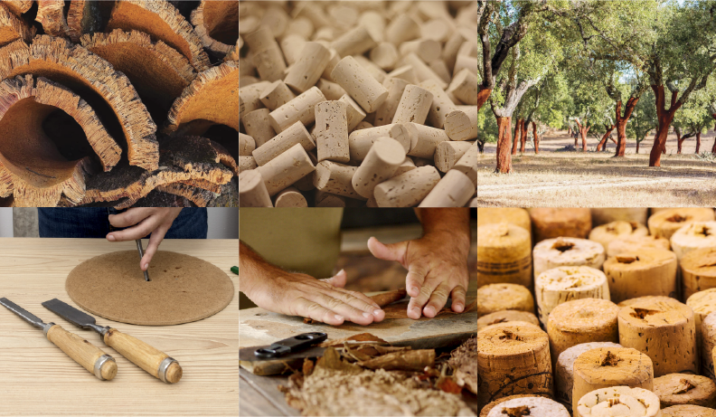 Divulgação Setorial – Cortiça Divulgação Setorial – Cortiça