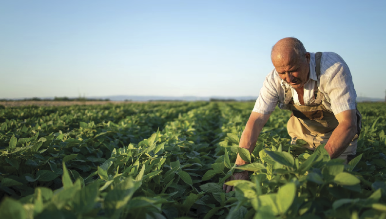 Garantia Mútua marca presença nas Feiras do Setor Agrícola Garantia Mútua marca presença nas Feiras do Setor Agrícola