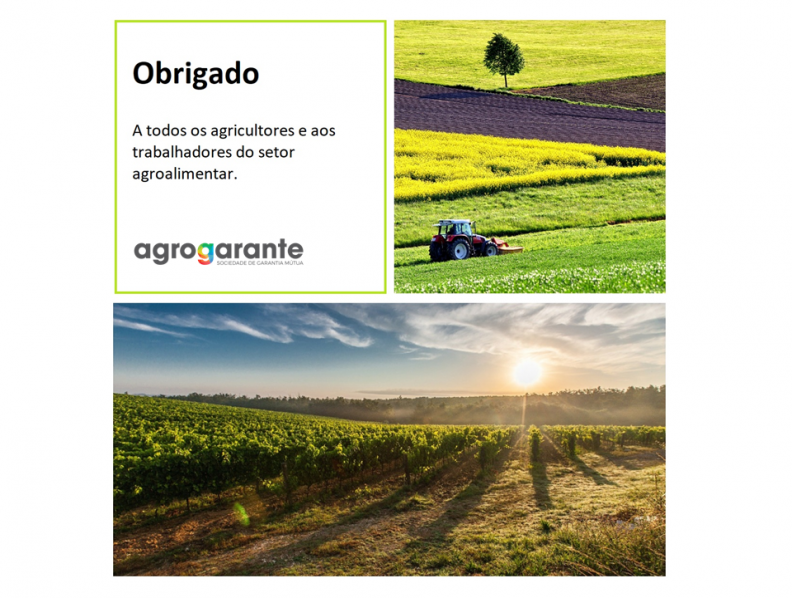Alimente quem o alimenta: Agricultura lan&ccedil;a plataforma digital que aproxima produtor do consumidor