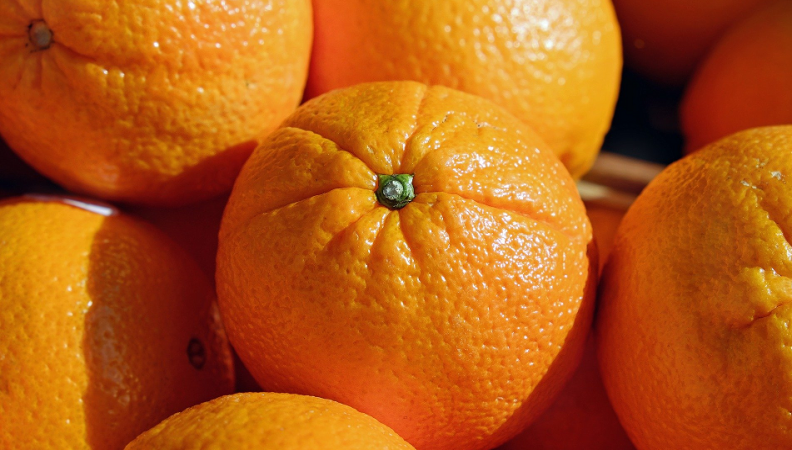 Divulgação Setorial - Subsetor da Laranja Divulgação Setorial - Subsetor da Laranja