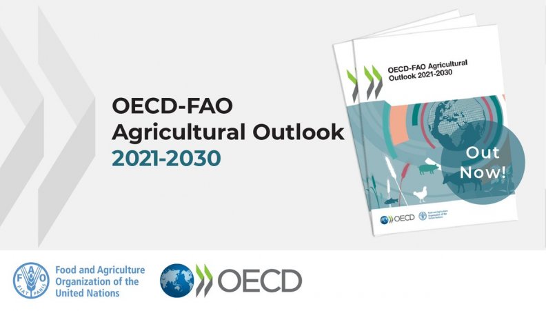 OCDE-FAO Agricultural Outlook 2021-2030 disponível para leitura OCDE-FAO Agricultural Outlook 2021-2030 disponível para leitura